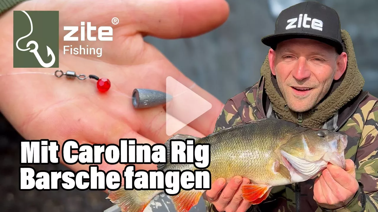 Carolina & Texas Rig Box 70-teilig Finesse Drop Shot Set Zite Fishing